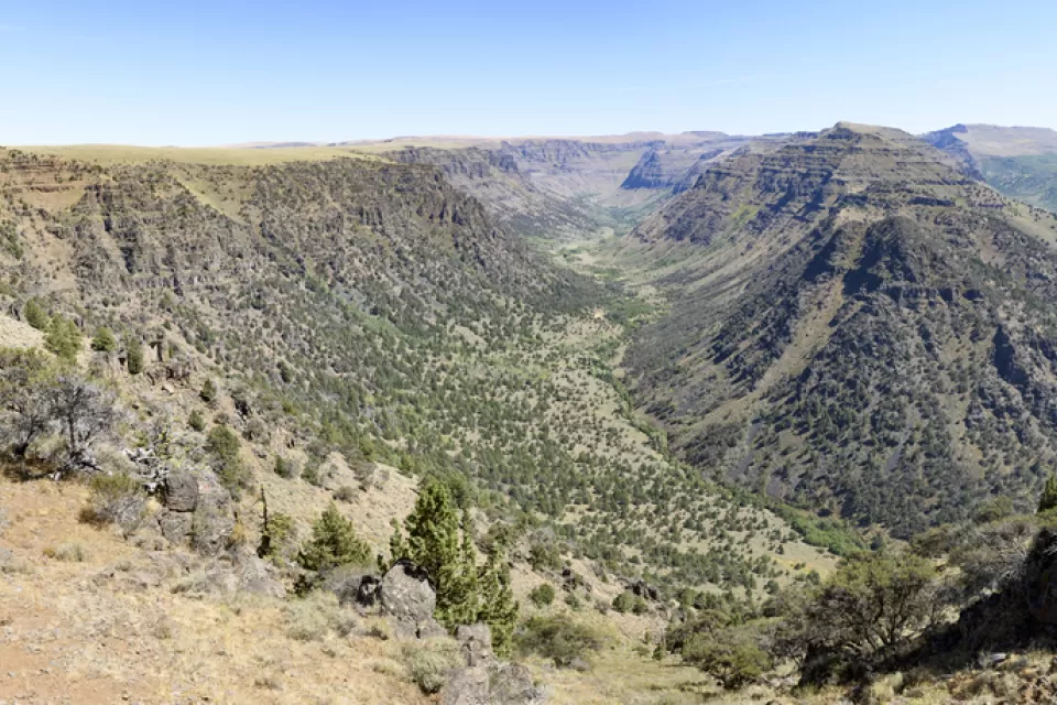 Harney County